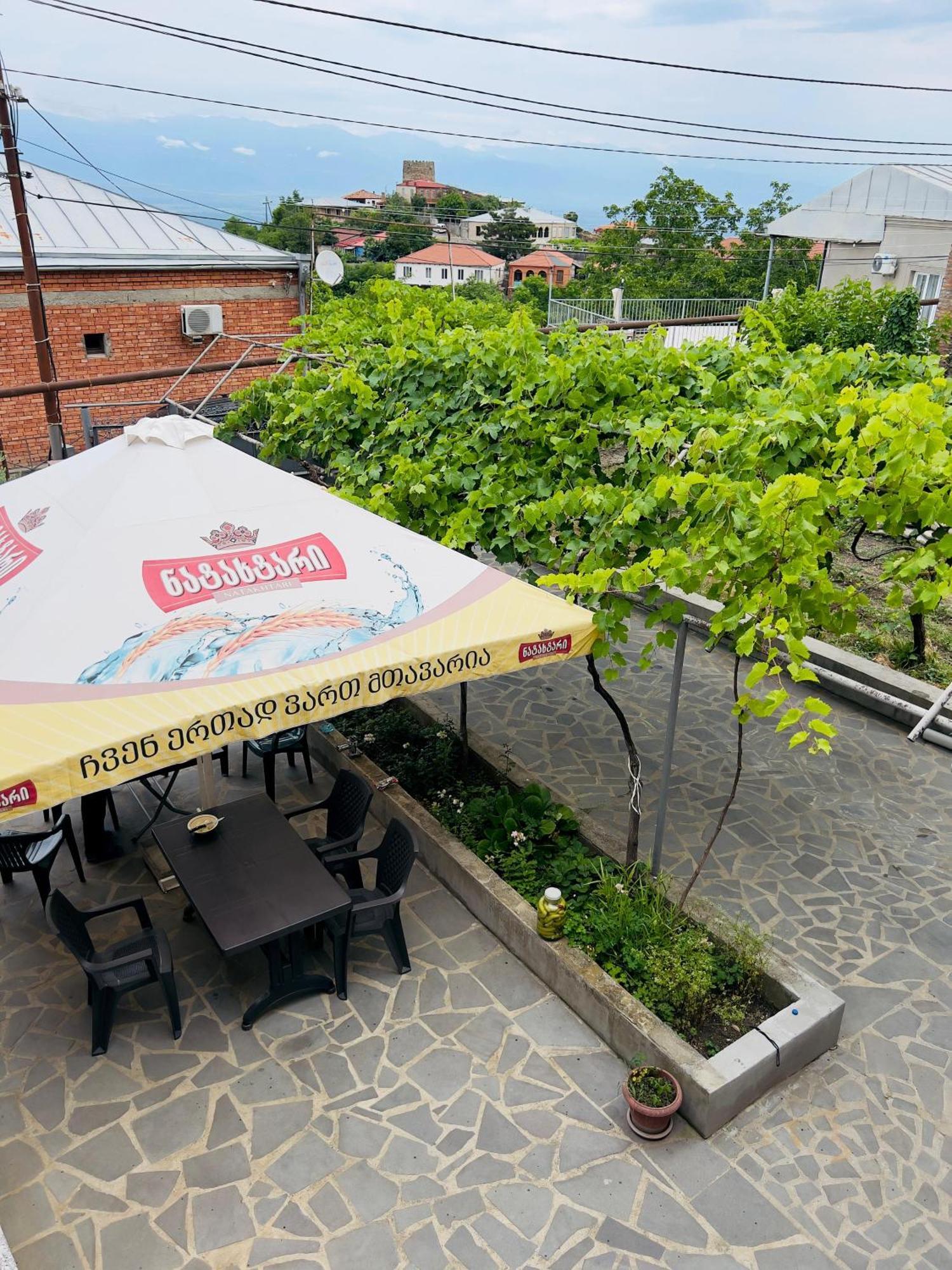 西格纳吉 格鲁吉亚兹明达旅馆酒店 外观 照片